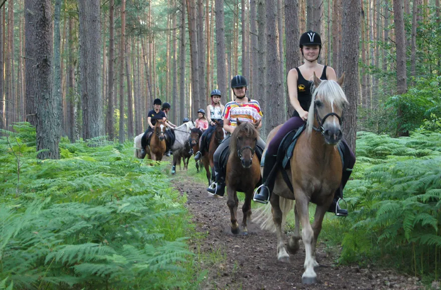 Rennreiten für Einsteiger Bad Doberan
