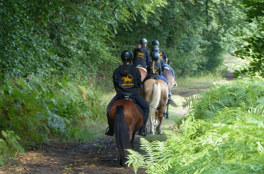 Rennreiten für Einsteiger Bad Doberan