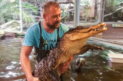 Reptilien-Fütterung in Landau