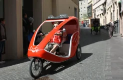 Rikscha-Picknick-Tour für 2