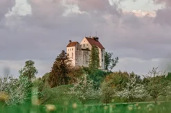 Ritteressen mit Burgführung Waldburg