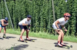 Rollski Einsteigerkurs Mainburg (2 Std.)