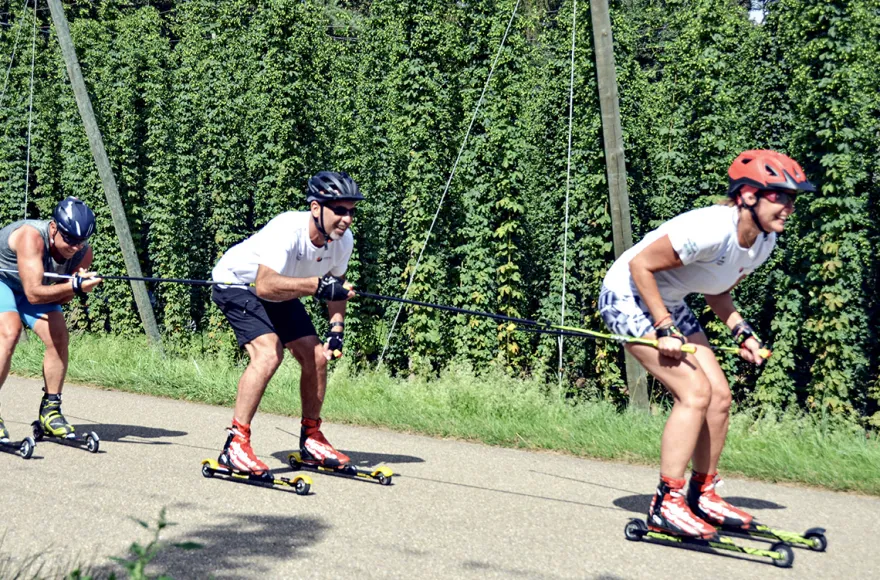 Rollski Einsteigerkurs Mainburg (2 Std.)
