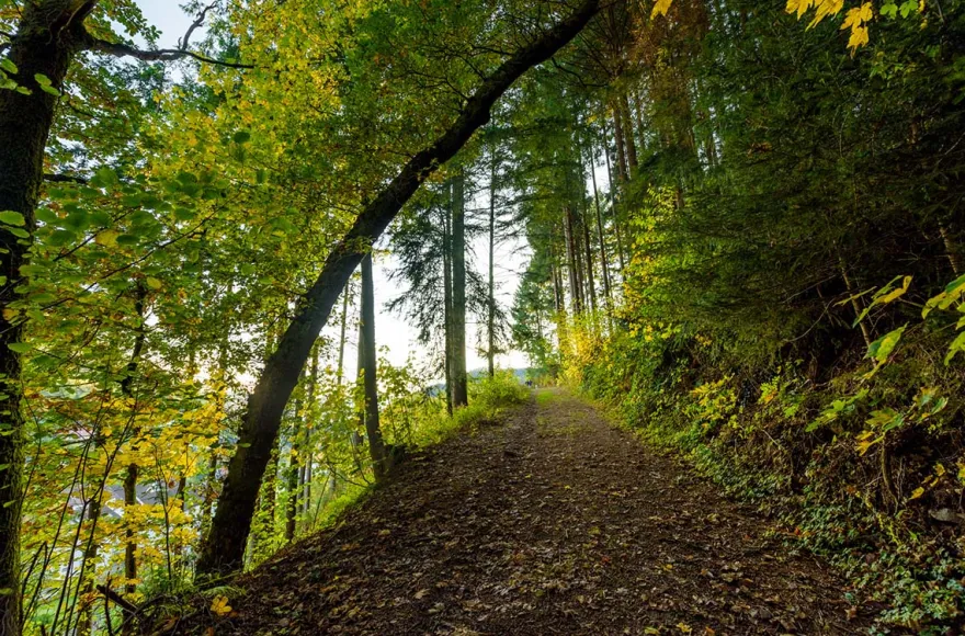 Romantikurlaub Hütte mit Vesperkorb Schwarzwald für 2 (1 Nacht)