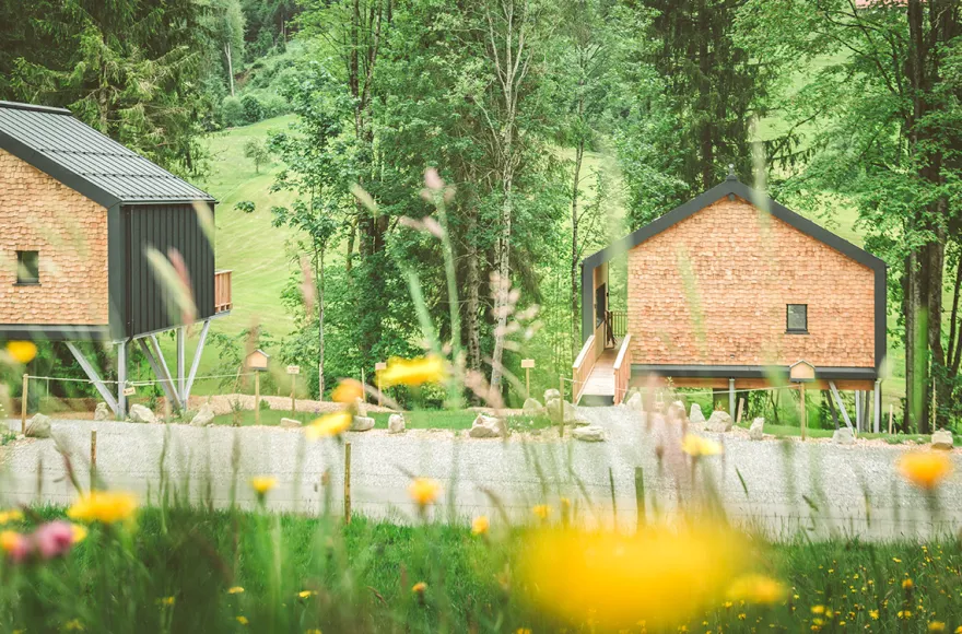 Romantikurlaub im Baumhaus Chalet für 2 (1 Nacht)