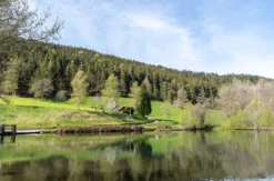 Romantikurlaub im Schwarzwald (Berneck) für 2 (2 Nächte)