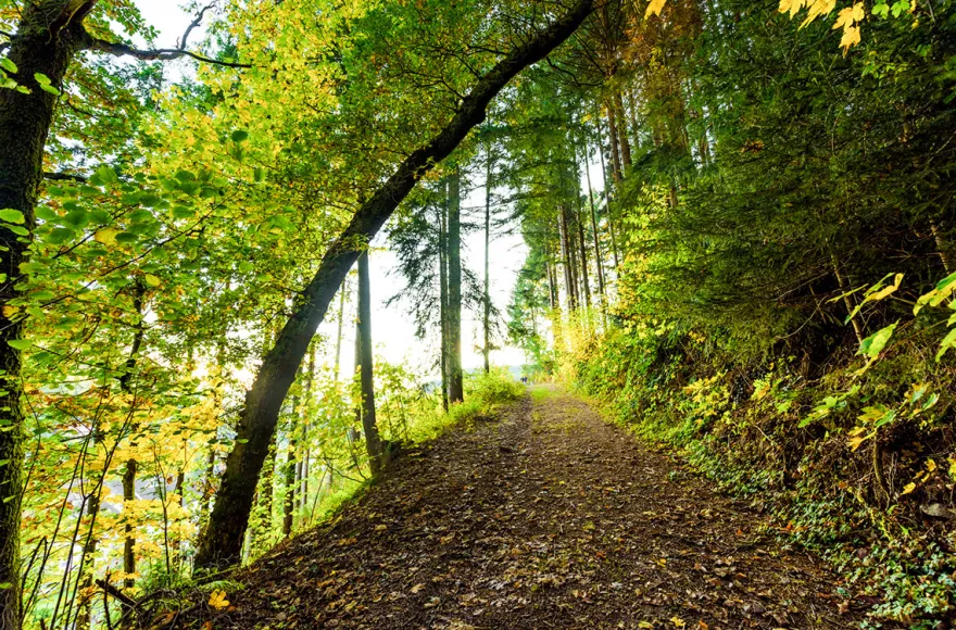 Romantikurlaub in der Blockhütte Schwarzwald für 2 (1 Nacht)