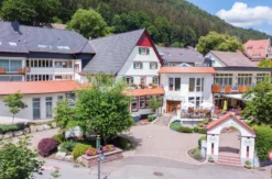 Romantikurlaub Schwarzwald für 2 (2 Nächte)