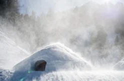 Romantische Nacht im Iglu in Südtirol für 2
