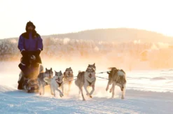Romantischer Nordlichter-Kurzurlaub in Lappland für 2