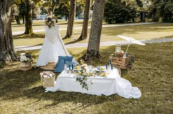 Romantisches Picknick für 2 Nürnberg