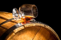 Rum Tasting