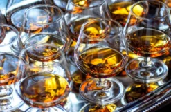 Rumtasting Frankfurt