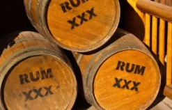 Rum Tasting in Stuttgart (7 Premium Sorten)