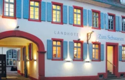 Rum Tasting Osthofen (Karibik)