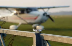 Rundflug für 2 Heist