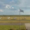 Rundflug im Ultraleichtflugzeug Dahlem (30 Min.)