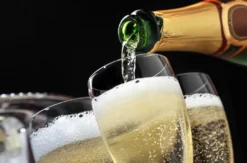Schaumwein, Sekt, Champagner Tasting Hattersheim am Main