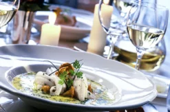 Schifffahrt auf der Elbe Dresden mit Dinner
