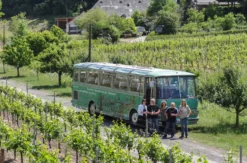 Schifffahrt und Weinerlebnis in Trier