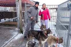 Schlittenhunde Abenteuer Ermenswil St. Gallen für 2