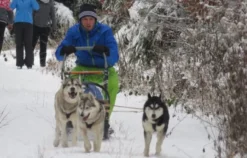 Schlittenhunde-Workshop Bad Herrenalb