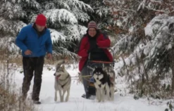 Schlittenhunde-Workshop Bad Herrenalb