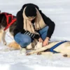 Schlittenhunde Workshop Telfs