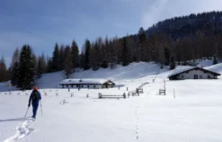 Schneeschuh-Fackelwanderung Reit im Winkl