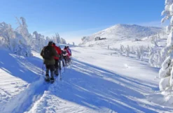 Schneeschuh-Tour auf den Wiener Hausbergen