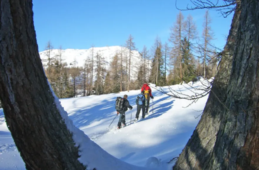 Schneeschuh-Tour auf den Wiener Hausbergen
