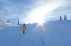 Schneeschuh-Tour auf den Wiener Hausbergen