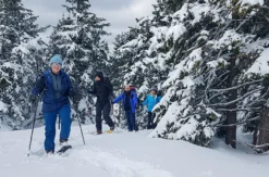 Schneeschuhtouren (4 Std.)