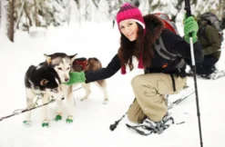 Schneeschuh-Tour mit dem eigenen Hund