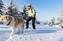 Schneeschuh-Tour mit dem eigenen Hund