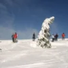 Schneeschuhwanderung Feldberg