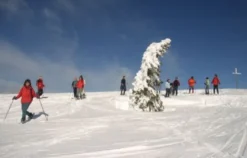 Schneeschuhwanderung Feldberg