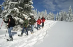 Schneeschuhwanderung Feldberg