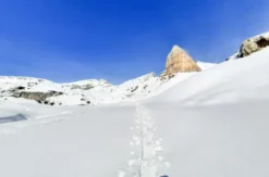 Schneeschuhwanderung im Rofangebirge