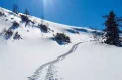 Schneeschuhwanderung Reit im Winkl