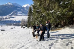 Schneeschuhwanderung Zugspitzblick Ehrwald