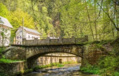 Schnitzeljagd Bad Schandau