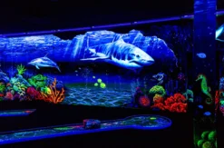 SCHWARZLICHT MINIGOLF SCHWÄBISCH GMÜND FÜR 4