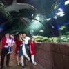 Sea Life Hannover (1 EW + 1 Kleinkind)