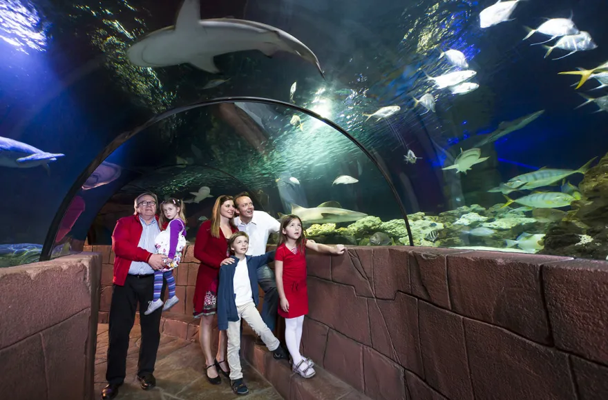 Sea Life Hannover (Kinder-Ticket)