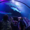 Sea Life Konstanz
