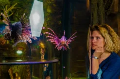 Sea Life München