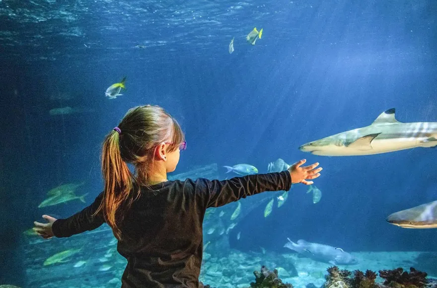 Sea Life München
