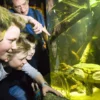 Sea Life München (1 EW + 1 Kleinkind)
