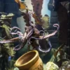 Sea Life Oberhausen